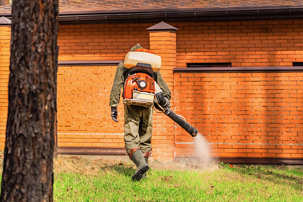 Bed Bug Clearance Verification and Documentation in Heathrow